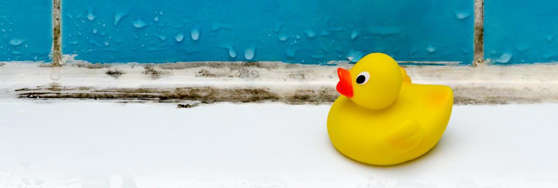 A yellow rubber duck on the edge of a bath, with mould showing along the grout under blue tiles.
