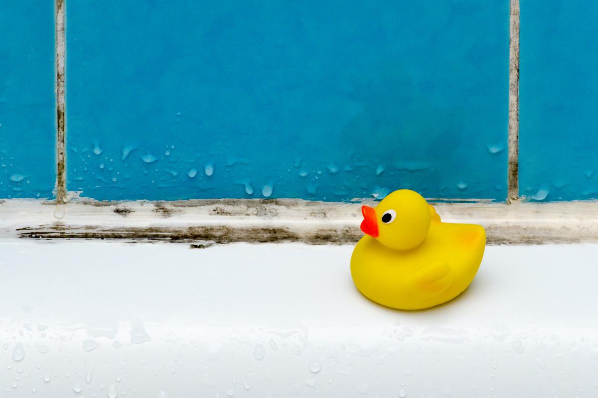 A yellow rubber duck sitting on the edge of a bath with mould visible along the tile grout