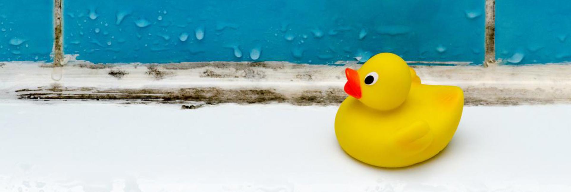 A yellow rubber duck sitting on the edge of a bath with mould visible along the tile grout