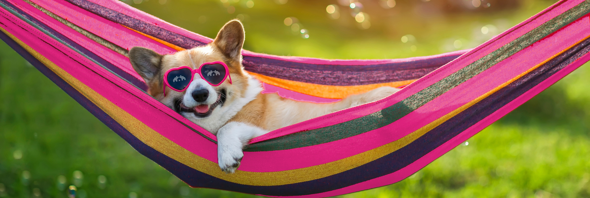 A small dog lies in a bright pink striped hammock in a sunny garden, wearing heart-shaped sunglasses. Bubbles float in the air around the dog, with green grass and soft, blurred light in the background.