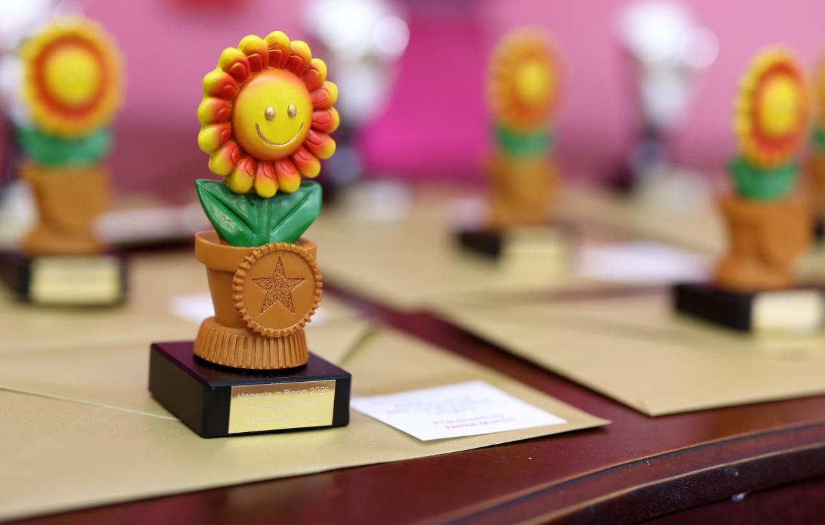 A colourful sunflower‑shaped award trophy displayed on a table with other trophies in the background.
