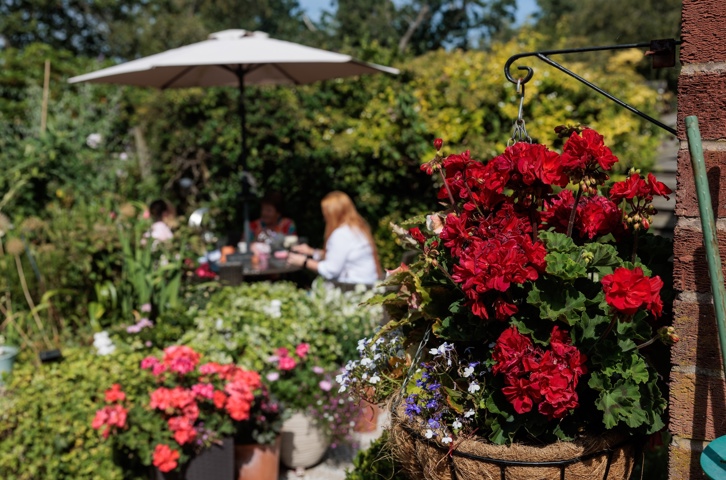 A home garden with people sitting outside