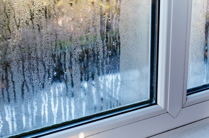 Condensation on windows.